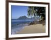 Ti Coco Beach, Baie De La Chery (Chery Bay), Martinique, West Indies, Caribbean, Central America-Guy Thouvenin-Framed Photographic Print
