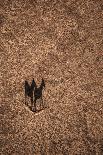 Aerial Snow Tree-Tian Qi-Photographic Print