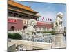 Tiananmen Sqaure in Front of Portrait of Mao Zedong on Gate of Heavenly Peace (Tiananmen Gate)-Gavin Hellier-Mounted Photographic Print