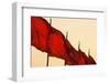 Tiananmen Square.-Jon Hicks-Framed Photographic Print