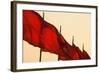 Tiananmen Square.-Jon Hicks-Framed Photographic Print