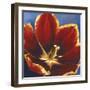 Tiare IV-Taylor-Framed Giclee Print