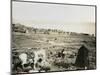 Tiberias from the Southwest, 1850s-Mendel John Diness-Mounted Giclee Print