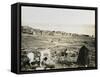 Tiberias from the Southwest, 1850s-Mendel John Diness-Framed Stretched Canvas