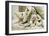 Tiberinus, Roman God of the River Tiber, 1st Century Ad-null-Framed Photographic Print