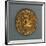 Tiberius Aureus Bearing Image of Emperor-null-Framed Giclee Print