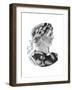 Tiberius Caesar-null-Framed Giclee Print