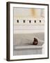 Tibetan Buddhist Monk Reading Scriptures at the Boudha Stupa at Bodhanath, Kathmandu, Nepal-Don Smith-Framed Photographic Print