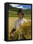 Tibetan Farmer Harvesting Barley, East Himalayas, Tibet, China-Keren Su-Framed Stretched Canvas