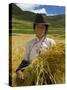 Tibetan Farmer Harvesting Barley, East Himalayas, Tibet, China-Keren Su-Stretched Canvas