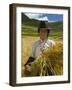 Tibetan Farmer Harvesting Barley, East Himalayas, Tibet, China-Keren Su-Framed Photographic Print