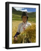 Tibetan Farmer Harvesting Barley, East Himalayas, Tibet, China-Keren Su-Framed Photographic Print