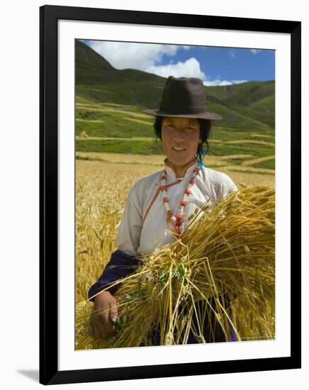 Tibetan Farmer Harvesting Barley, East Himalayas, Tibet, China-Keren Su-Framed Photographic Print