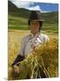 Tibetan Farmer Harvesting Barley, East Himalayas, Tibet, China-Keren Su-Mounted Photographic Print