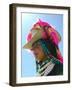 Tibetan Girl, Tibet, China-Keren Su-Framed Photographic Print