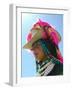 Tibetan Girl, Tibet, China-Keren Su-Framed Photographic Print