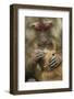 Tibetan macaque female and infant, Tangjiahe National Nature Reserve, Sichuan province, China-Staffan Widstrand/Wild Wonders of China-Framed Photographic Print