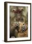 Tibetan macaque female and infant, Tangjiahe National Nature Reserve, Sichuan province, China-Staffan Widstrand/Wild Wonders of China-Framed Photographic Print