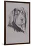 Tibetan Mastiff-Barbara Keith-Framed Giclee Print