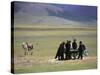 Tibetan Men Play Pool-null-Stretched Canvas