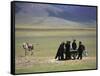 Tibetan Men Play Pool-null-Framed Stretched Canvas