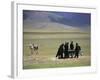 Tibetan Men Play Pool-null-Framed Photographic Print