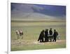 Tibetan Men Play Pool-null-Framed Photographic Print