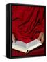 Tibetan Monk Reading, Paris, France, Europe-Godong-Framed Stretched Canvas