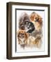 Tibetan Spaniel-Barbara Keith-Framed Giclee Print