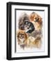 Tibetan Spaniel-Barbara Keith-Framed Giclee Print