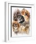 Tibetan Spaniel-Barbara Keith-Framed Giclee Print