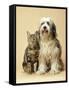 Tibetan Terrier Dog and Tabby Cat-null-Framed Stretched Canvas