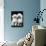 Tibetan Terrier Dogs-Hank Walker-Photographic Print displayed on a wall