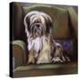 Tibetan Terrier-Barbara Keith-Stretched Canvas