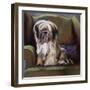 Tibetan Terrier-Barbara Keith-Framed Giclee Print