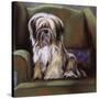 Tibetan Terrier-Barbara Keith-Stretched Canvas