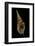 Tibia Insulaechorab-Paul Starosta-Framed Photographic Print