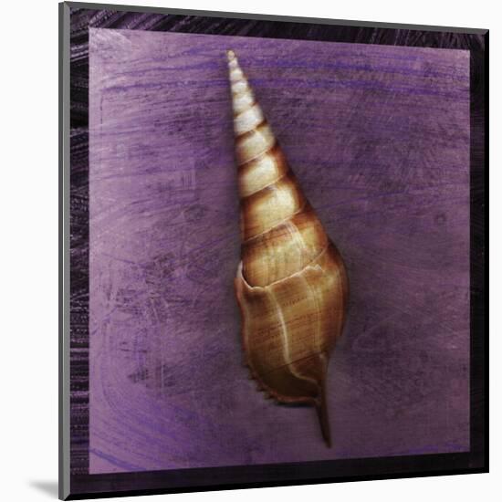 Tibia Shell-John Golden-Mounted Giclee Print