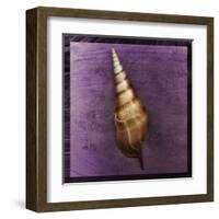 Tibia Shell-John Golden-Framed Art Print