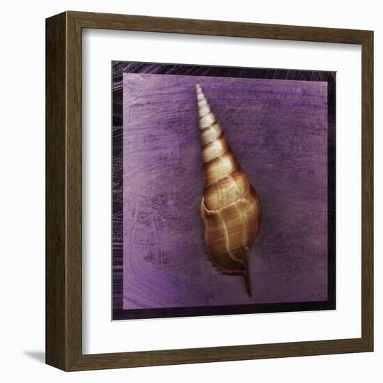 Tibia Shell-John Golden-Framed Art Print