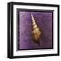 Tibia Shell-John Golden-Framed Art Print