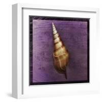 Tibia Shell-John Golden-Framed Art Print