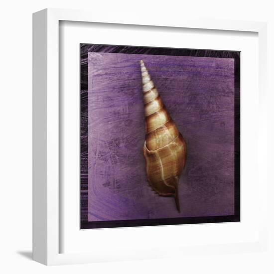 Tibia Shell-John Golden-Framed Art Print