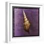 Tibia Shell-John Golden-Framed Art Print