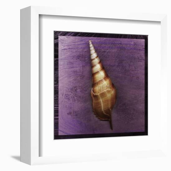 Tibia Shell-John W^ Golden-Framed Art Print