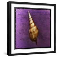 Tibia Shell-John W Golden-Framed Premium Giclee Print