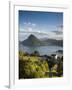 Ticino, Lake Lugano, Lugano, Town View and Monte San Salvador from Monte Bre, Switzerland-Walter Bibikow-Framed Photographic Print