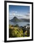 Ticino, Lake Lugano, Lugano, Town View and Monte San Salvador from Monte Bre, Switzerland-Walter Bibikow-Framed Photographic Print