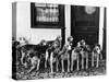 Tickham Foxhounds-null-Stretched Canvas