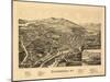 Ticonderoga, New York - Panoramic Map-Lantern Press-Mounted Art Print